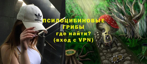 сатива Няндома