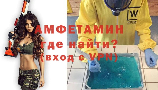 сатива Няндома